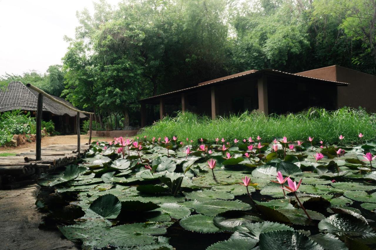 Hampi'S Whiskers Resort Exterior photo